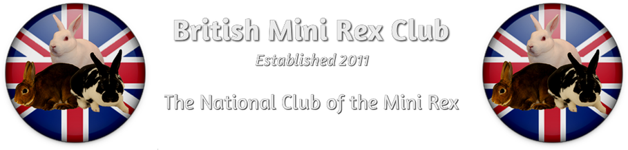 British Mini Rex Club